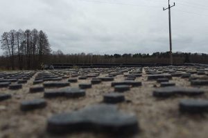 Widok na teren z panelami słonecznymi, w tle drzewa i słup energetyczny, pochmurna pogoda.