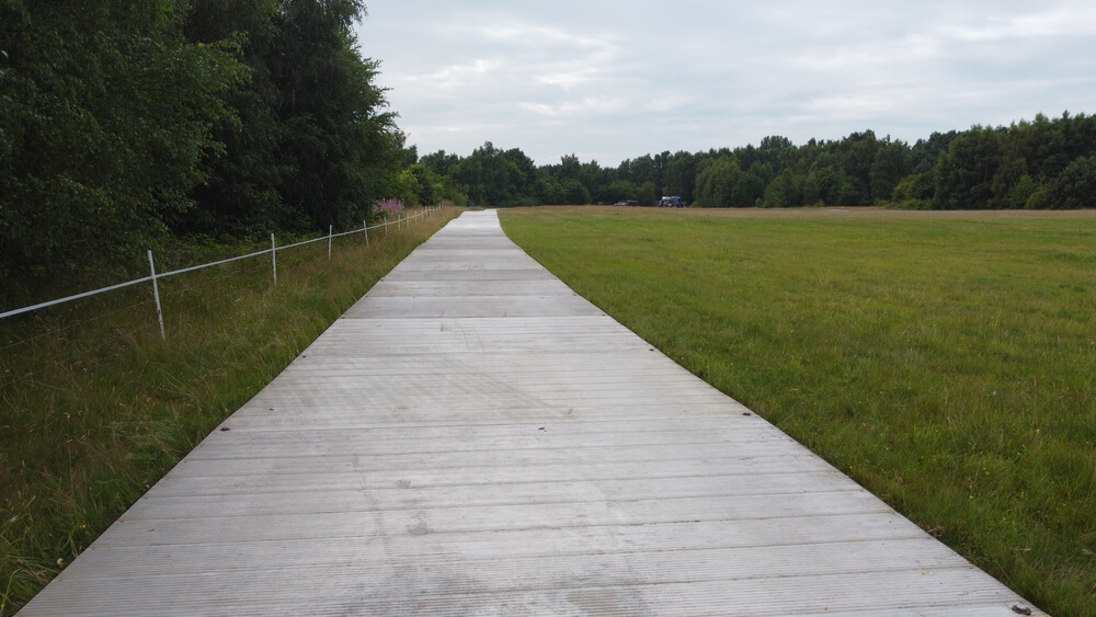 Drewniana ścieżka prowadząca przez zieloną łąkę, otoczona drzewami. W tle widoczny zarys lasu.