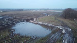 Widok na pole z sadzonkami, podmokłą ziemią i zagospodarowanym terenem, z ciągnikiem i pracownikami w oddali.