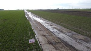 Droga z oznakowaniem ograniczenia prędkości, otoczona zielonymi polami, mokra nawierzchnia po deszczu.