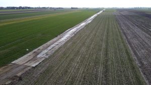 Obraz przedstawia szeroką, płaską działkę rolną podzieloną na obszary z różnymi rodzajami upraw.