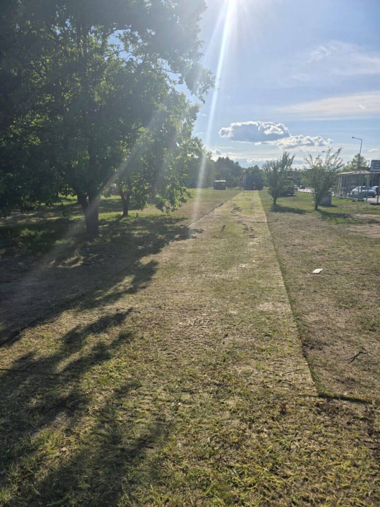 Ścieżka w parku otoczona drzewami, z wyraźnymi promieniami słońca i chmurami na niebie.