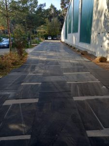 Ścieżka z płyt chodnikowych prowadząca przez teren z drzewami i budynkiem w tle.