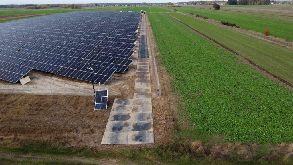 Paneli słonecznych na polu; obok zielona uprawa, utwardzona ścieżka prowadząca wzdłuż instalacji.