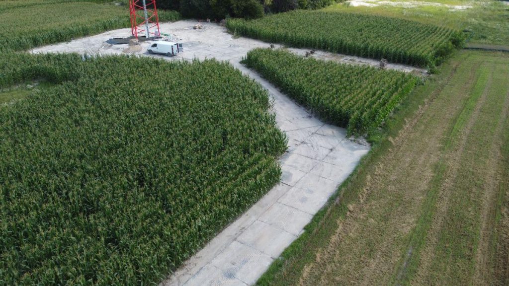 Widok z lotu ptaka na pole kukurydzy z czerwoną wieżą i białym pojazdem na utwardzonej drodze.